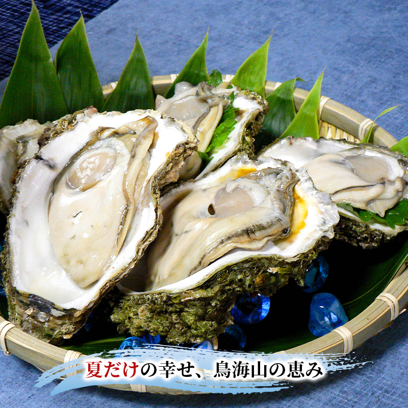 象潟産 天然岩牡蠣 10～15個 ナイフ無【 牡蠣 夏牡蠣 かき 象潟 生食可 魚介類 海鮮 海産物 海の幸 】 さとう鮮魚店