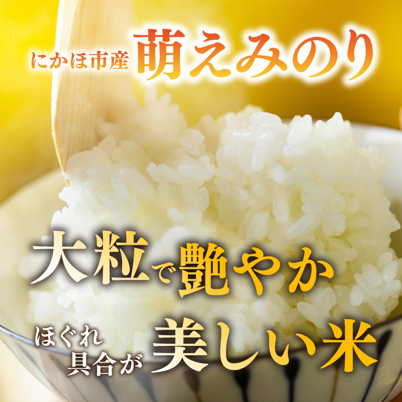 【新米先行予約】 萌えみのり 精米 10kg 【令和8年度産精米 白米 米 コメ お米 おこめ ブランド米 ご飯 ごはん 秋田 にかほ】