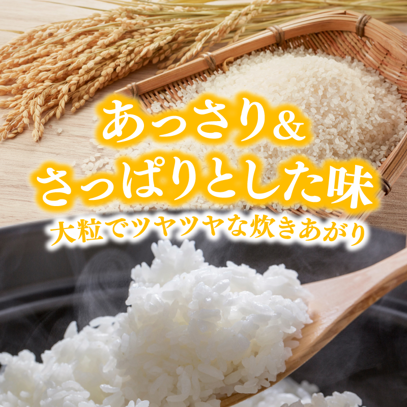 【新米先行予約】【3か月定期便】 萌えみのり 精米 10kg 【令和8年度産精米 白米 米 コメ お米 おこめ ブランド米 ご飯 ごはん 秋田 にかほ】
