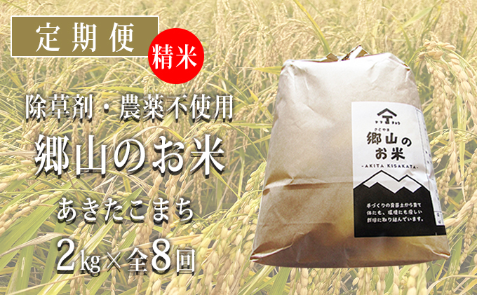 秋田県産あきたこまち（精米）郷山のお米2kg×8ヶ月定期便（8回 8ヵ月）|JALふるさと納税|JALのマイルがたまるふるさと納税サイト