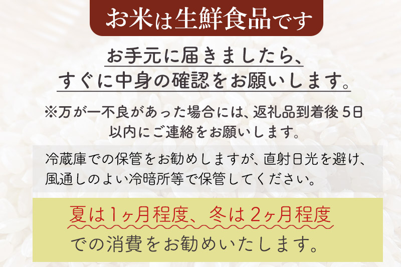 【無洗米】＜令和6年産 予約＞《定期便11ヶ月》秋田県産 あきたこまち 20kg (5kg×4袋) ×11回 20キロ お米【お届け周期調整 隔月お届けも可】