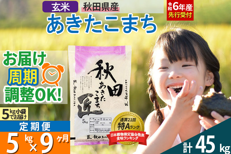 【玄米】＜令和6年産 予約＞ 《定期便9ヶ月》秋田県産 あきたこまち 5kg (5kg×1袋)×9回 5キロ お米【お届け周期調整 隔月お届けも可】