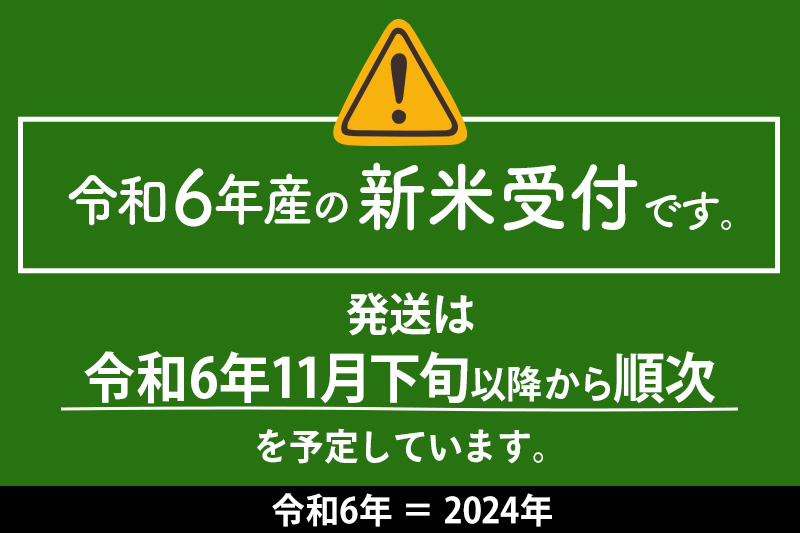 【白米】《定期便2ヶ月》令和6年産 新米予約 仙北市産 おばこの匠 8kg（2kg×4袋）×2回 計16kg 2か月 2ヵ月 2カ月 2ケ月 秋田こまち お米 秋田県産あきたこまち