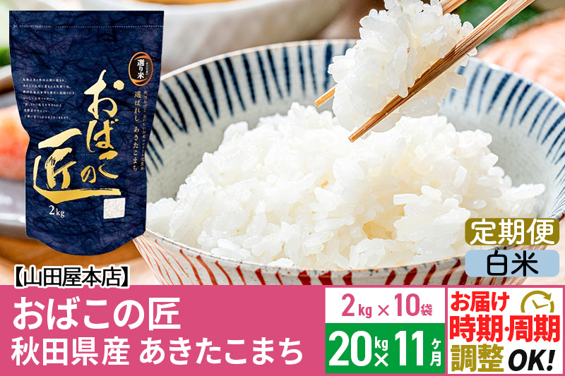 【白米】《定期便11ヶ月》令和6年産 新米予約 仙北市産 おばこの匠 20kg（2kg×10袋）×11回 計220kg 11か月 11ヵ月 11カ月 11ケ月 秋田こまち お米 秋田県産あきたこまち