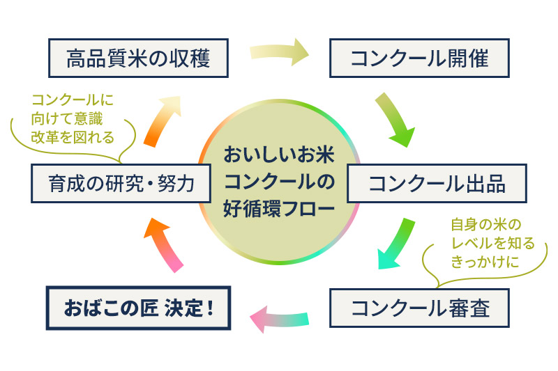 【玄米】《定期便10ヶ月》令和6年産 新米予約 仙北市産 おばこの匠 20kg（2kg×10袋）×10回 計200kg 10か月 10ヵ月 10カ月 10ケ月 秋田こまち お米 秋田県産あきたこまち