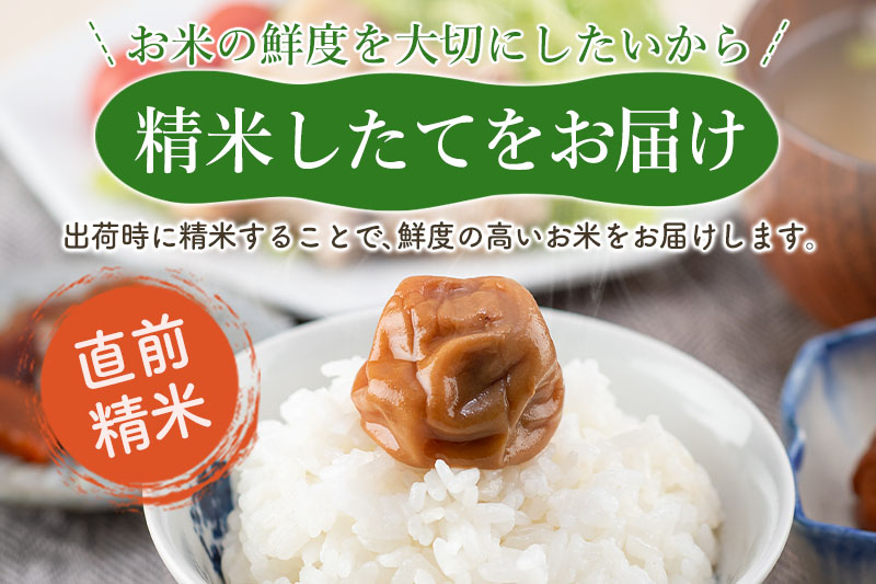 【無洗米】＜令和6年産 予約＞《定期便6ヶ月》秋田県産 あきたこまち 10kg (5kg×2袋) ×6回 10キロ お米【お届け周期調整 隔月お届けも可】