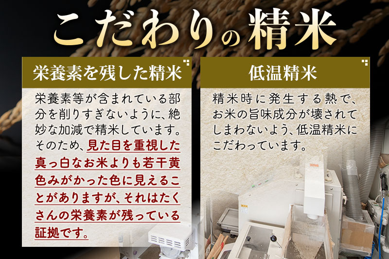 【無洗米】＜令和6年産 予約＞《定期便8ヶ月》秋田県産 あきたこまち 25kg (5kg×5袋) ×8回 25キロ お米【お届け周期調整 隔月お届けも可】