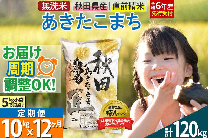 【無洗米】＜令和6年産 予約＞《定期便12ヶ月》秋田県産 あきたこまち 10kg (5kg×2袋) ×12回 10キロ お米【お届け周期調整 隔月お届けも可】