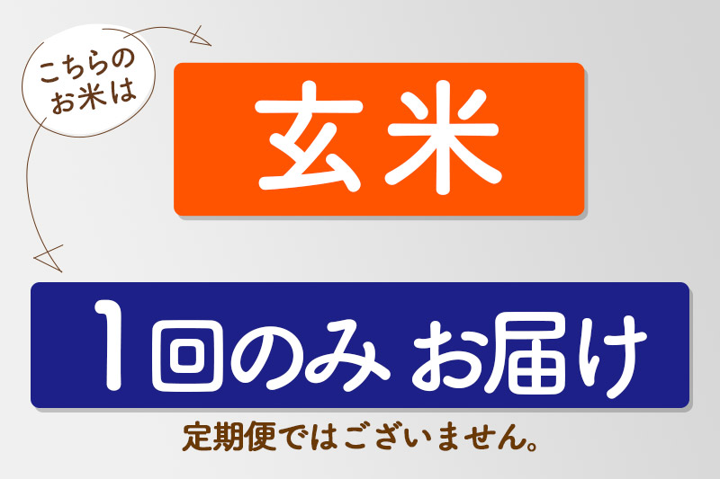 【玄米】＜令和6年産 予約＞ 秋田県産 あきたこまち 5kg (5kg×1袋) 5キロ お米