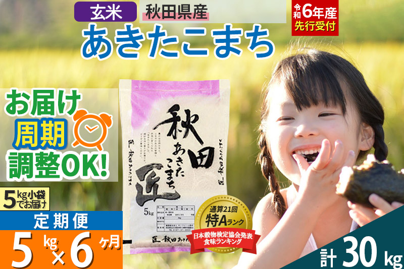 【玄米】＜令和6年産 予約＞ 《定期便6ヶ月》秋田県産 あきたこまち 5kg (5kg×1袋)×6回 5キロ お米【お届け周期調整 隔月お届けも可】