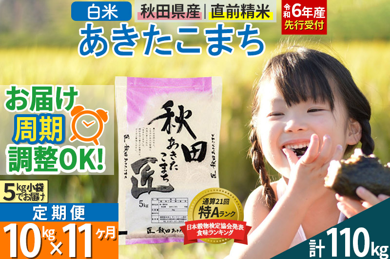 【白米】＜令和6年産 予約＞ 《定期便11ヶ月》秋田県産 あきたこまち 10kg (5kg×2袋)×11回 10キロ お米【お届け周期調整 隔月お届けも可】