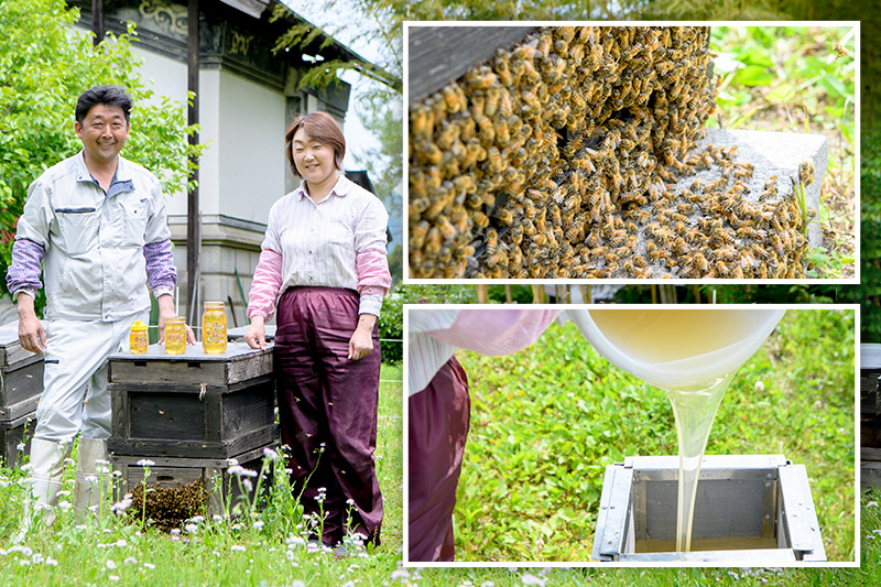 秋田県産はちみつ アカシア蜜250g×1本・500g×1本 トチ蜜500g×1本 合計1.25kg 化粧箱入り 田沢湖養蜂場