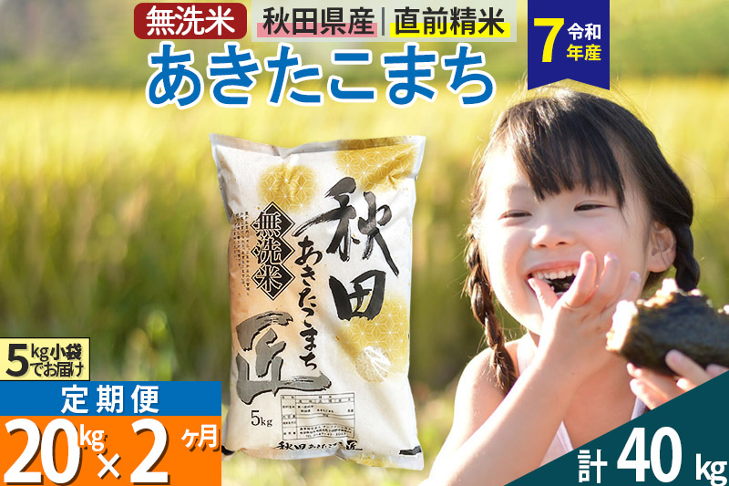 【無洗米】＜令和7年産＞《定期便2ヶ月》秋田県産 あきたこまち 匠 20kg (5kg×4袋) ×2回 20キロ お米