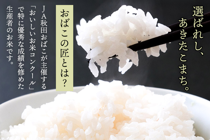 【白米】令和6年産 新米予約 仙北市産 おばこの匠 4kg（2kg×2袋）秋田こまち