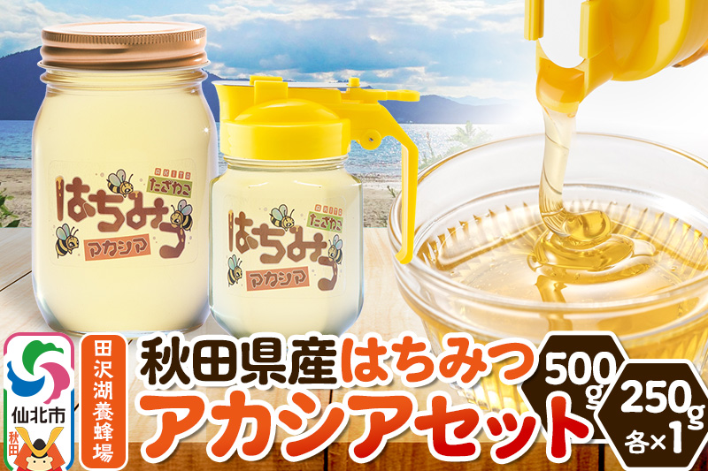 秋田県産はちみつ アカシアセット 500g×1本・250g×1本 田沢湖養蜂場