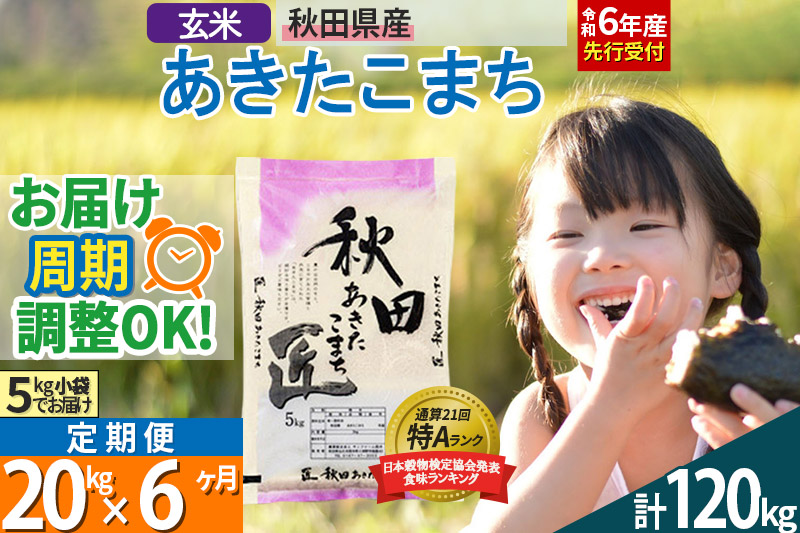 【玄米】＜令和6年産 予約＞ 《定期便6ヶ月》秋田県産 あきたこまち 20kg (5kg×4袋)×6回 20キロ お米【お届け周期調整 隔月お届けも可】