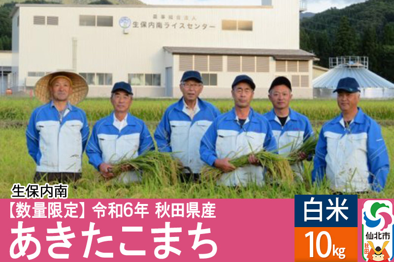 【白米】あきたこまち 10kg（10kg×1袋）令和6年産 新米予約 精米  秋田県仙北市産 10キロ