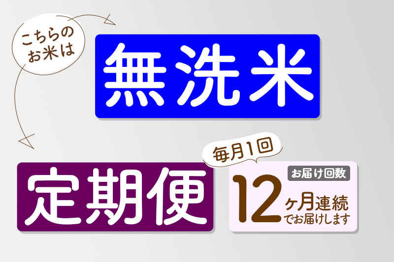 【無洗米】＜令和6年産 予約＞《定期便12ヶ月》秋田県産 あきたこまち 10kg (5kg×2袋) ×12回 10キロ お米【お届け周期調整 隔月お届けも可】