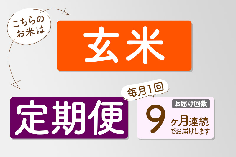 【玄米】＜令和6年産 予約＞ 《定期便9ヶ月》秋田県産 あきたこまち 30kg (5kg×6袋)×9回 30キロ お米【お届け周期調整 隔月お届けも可】