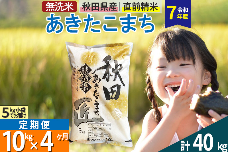 【無洗米】＜令和7年産＞《定期便4ヶ月》秋田県産 あきたこまち 匠 10kg (5kg×2袋) ×4回 10キロ お米