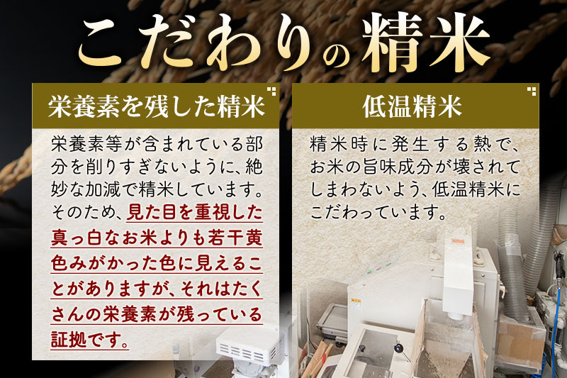 【白米】＜令和7年産＞ 《定期便8ヶ月》秋田県産 あきたこまち 10kg (5kg×2袋)×8回 10キロ お米 匠  [サンファーム西木 精米 定期便 お米定期便 白米 あきたこまち ごはん 米 お米]