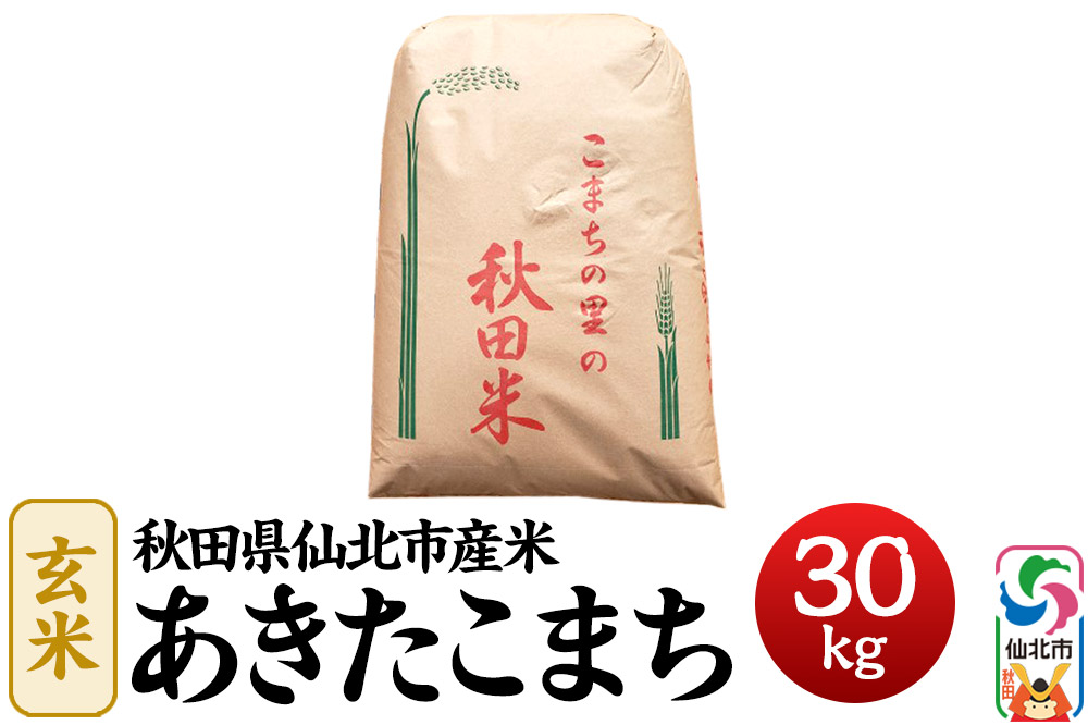 【一等米】秋田県仙北市産米 令和7年産 あきたこまち 玄米 30kg＜藤村本店＞30キロ