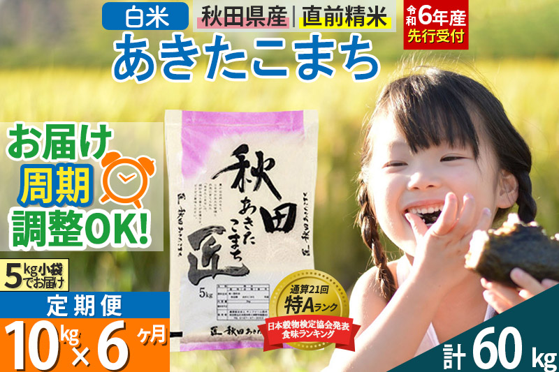 【白米】＜令和6年産 予約＞ 《定期便6ヶ月》秋田県産 あきたこまち 10kg (5kg×2袋)×6回 10キロ お米【お届け周期調整 隔月お届けも可】