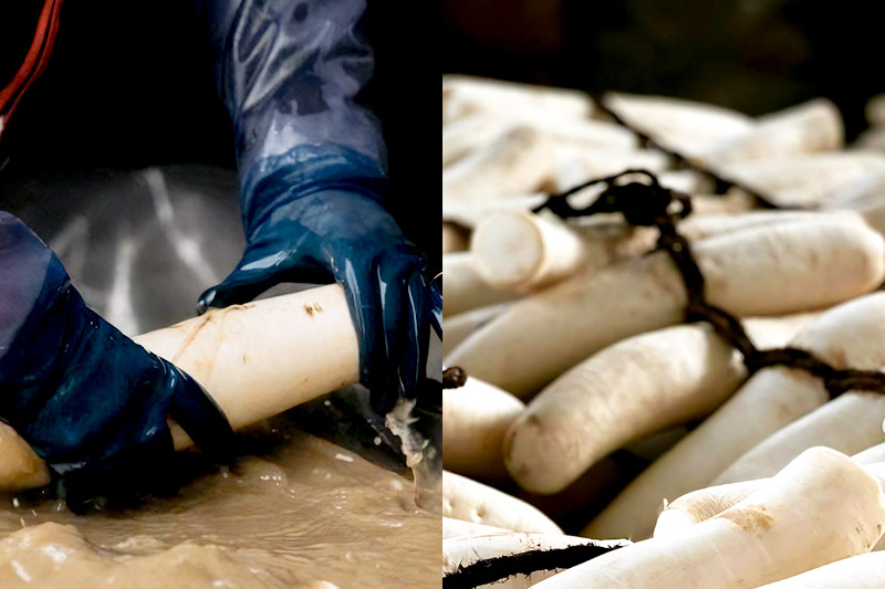 ãäºçŽåä»ã1æäžæ¬ã3æäžæ¬ã«çºé ãã¶ããã£ã å»ã¿ 200gÃ2è¢ æ ªåŒäŒç€Ÿãã£ã ã¯ããã³ãããã±ãã