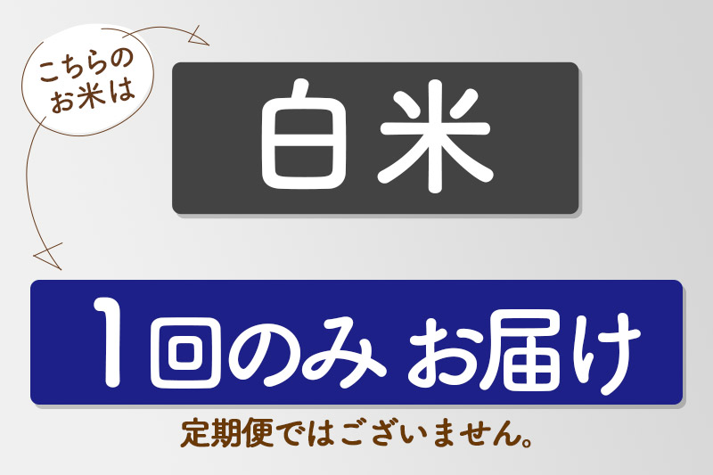 数量限定【白米】秋田県産 あきたこまち 令和6年産 5kg お米