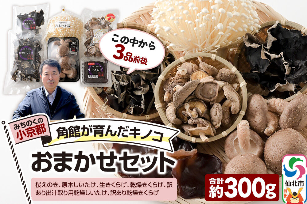 みちのくの小京都・角館が育んだ「おまかせセット」（桜えのき、原木しいたけ、生きくらげ、乾燥きくらげ、訳あり出汁取り用乾燥しいたけ、訳あり乾燥きくらげ）合計約300g(3品前後) [えのき エノキ しいたけ 椎茸 シイタケきくらげ 木耳 キクラゲ 園主おすすめ 生 乾燥 出汁 訳あり 秋田県 仙北市 角館]