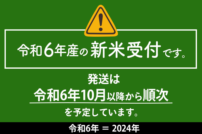 【白米】秋のきらめき 10kg（10kg×1袋）精米 令和6年産 新米予約 秋田県 仙北市産 10キロ