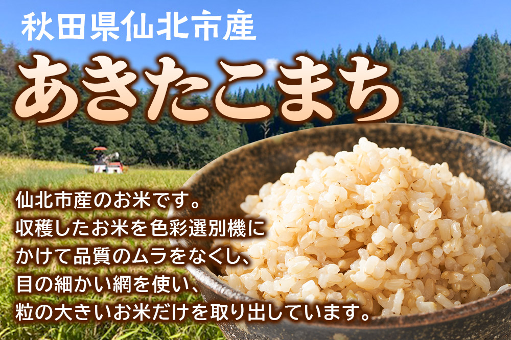 ãçç±³ã什å7å¹Žç£ ãããããŸã¡ 10kg ç±³ ãç±³ ãã ç§ç°ç ä»ååžç£