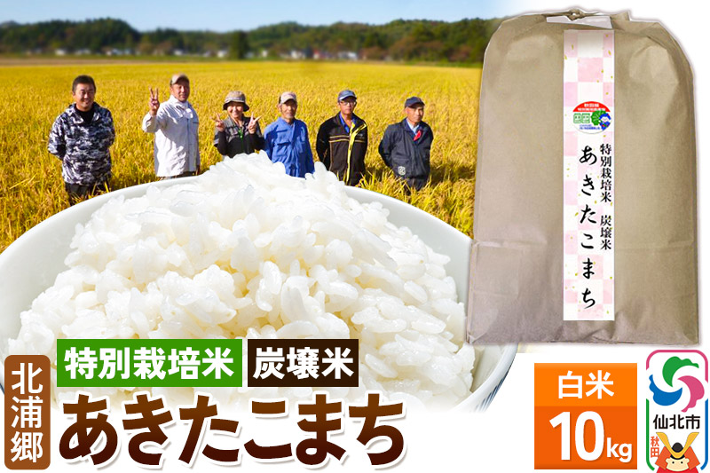 【特別栽培米 炭壌米 あきたこまち】令和6年産 新米 先行受付 白米 10kg