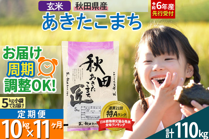 【玄米】＜令和6年産 予約＞ 《定期便11ヶ月》秋田県産 あきたこまち 10kg (5kg×2袋)×11回 10キロ お米【お届け周期調整 隔月お届けも可】