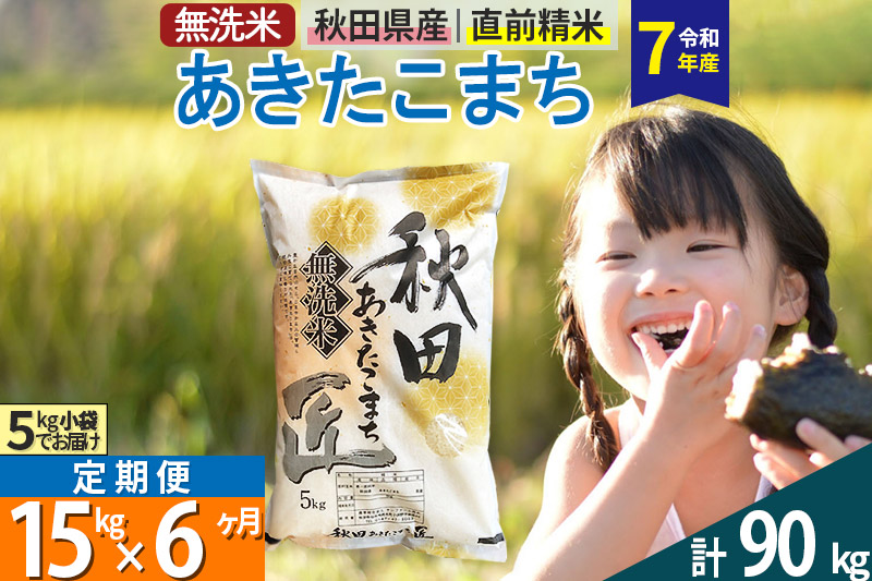 【無洗米】＜令和7年産＞《定期便6ヶ月》秋田県産 あきたこまち 匠 15kg (5kg×3袋) ×6回 15キロ お米