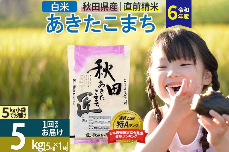 数量限定【白米】秋田県産 あきたこまち 令和6年産 5kg お米