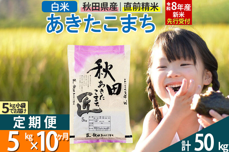 【白米】＜令和8年産 新米予約＞ 《定期便10ヶ月》秋田県産 あきたこまち 5kg (5kg×1袋)×10回 5キロ お米 匠  [サンファーム西木 米5kg 米 5kg 米　5kg定期便 お米定期便 白米 あきたこまち ごはん 米 お米 精米5kg]