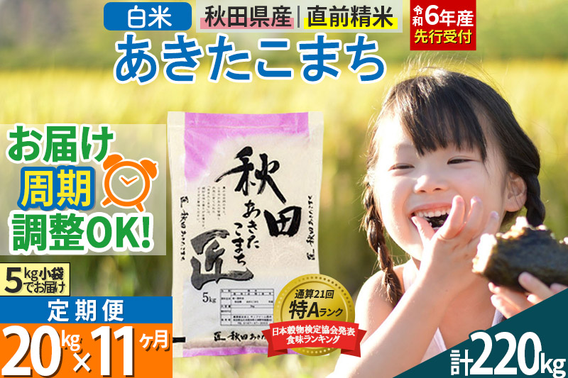 【白米】＜令和6年産 予約＞ 《定期便11ヶ月》秋田県産 あきたこまち 20kg (5kg×4袋)×11回 20キロ お米【お届け周期調整 隔月お届けも可】