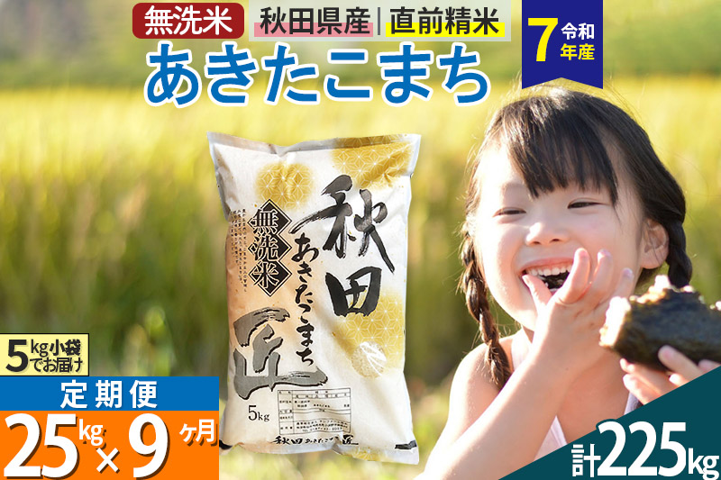 【無洗米】＜令和7年産＞《定期便9ヶ月》秋田県産 あきたこまち 匠 25kg (5kg×5袋) ×9回 25キロ お米