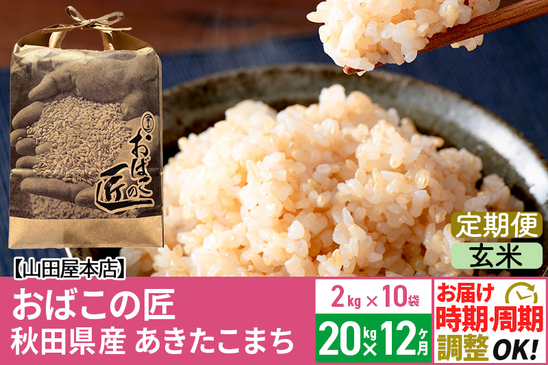 【玄米】《定期便12ヶ月》令和6年産 新米予約 仙北市産 おばこの匠 20kg（2kg×10袋）×12回 計240kg 12か月 12ヵ月 12カ月 12ケ月 秋田こまち お米 秋田県産あきたこまち