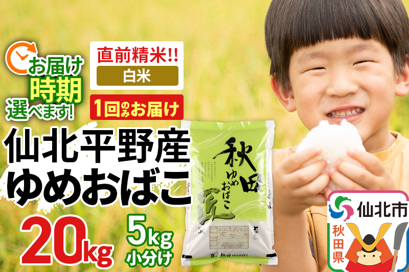 白米 秋田県産ゆめおばこ 20kg 令和6年産【選べるお届け時期】