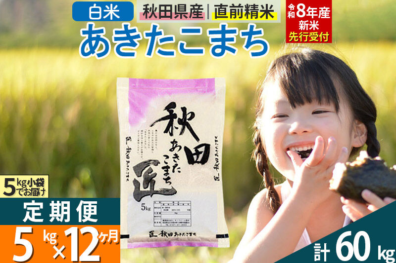 【白米】＜令和8年産 新米予約＞ 《定期便12ヶ月》秋田県産 あきたこまち 5kg (5kg×1袋)×12回 5キロ お米 匠  [サンファーム西木 米5kg 米 5kg 米　5kg定期便 お米定期便 白米 あきたこまち ごはん 米 お米 精米5kg]