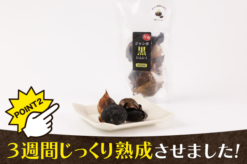 秋田県仙北市産 ジャンボ黒にんにく 100g×1パック＜ゆうパケット＞
