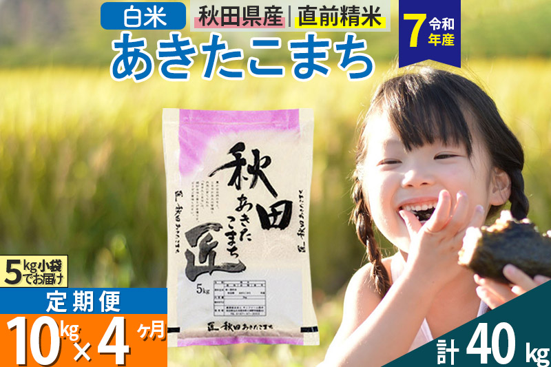 【白米】＜令和7年産＞ 《定期便4ヶ月》秋田県産 あきたこまち 10kg (5kg×2袋)×4回 10キロ お米 匠