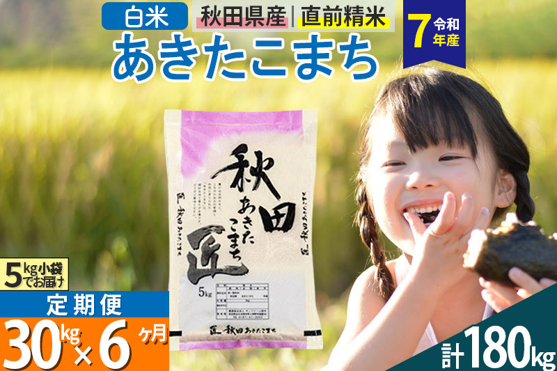 【白米】＜令和7年産＞ 《定期便6ヶ月》秋田県産 あきたこまち 匠 30kg (5kg×6袋)×6回 30キロ お米