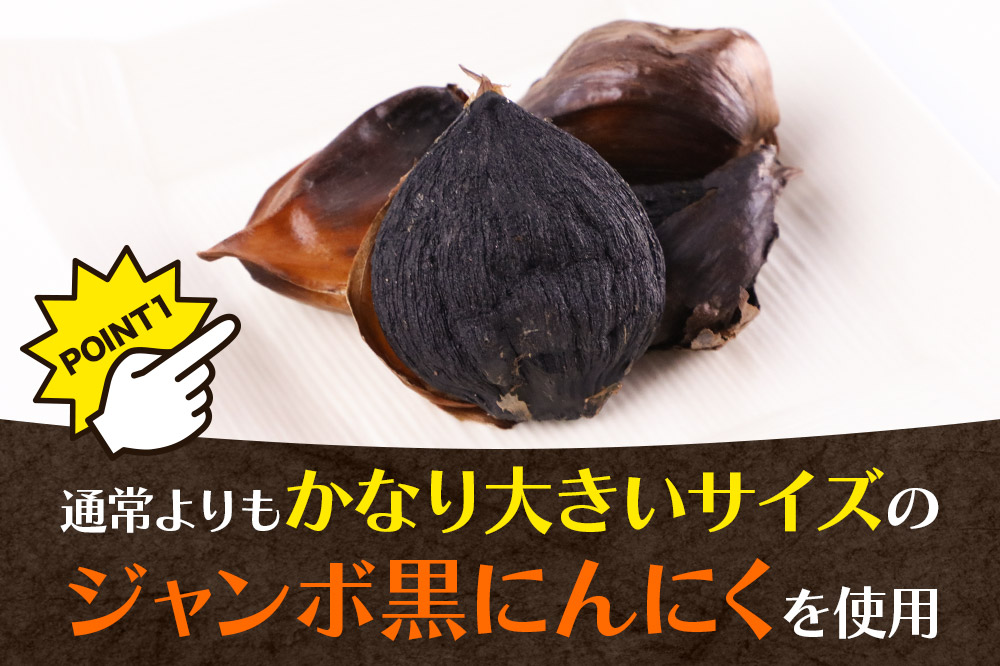 秋田県仙北市産 ジャンボ黒にんにく 100g×1パック＜ゆうパケット＞