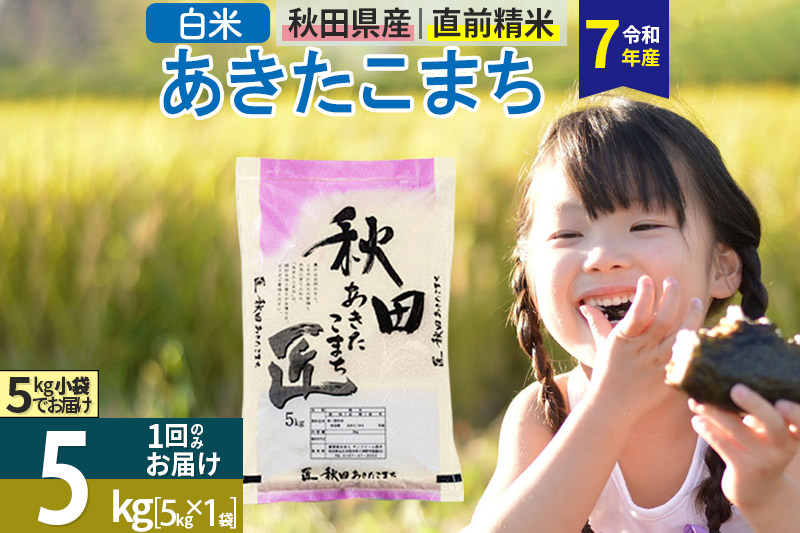 【白米】＜令和7年産＞ 秋田県産 あきたこまち 5kg (5kg×1袋) 5キロ お米 匠