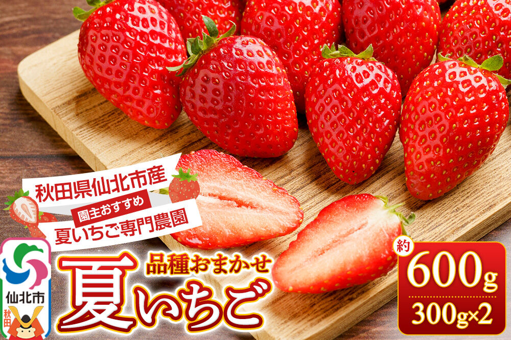 《近畿以北限定》 夏イチゴ専門農園の園主おすすめ！ 仙北市産 夏イチゴ 約600g（約300g×2パック） [苺 イチゴ いちご ブランド 品種 銘柄 なつあかり 夏のしずく 希少品種 ケーキ ジャム スムージー スイーツ フルーツ 果物 秋田県 今が旬]
