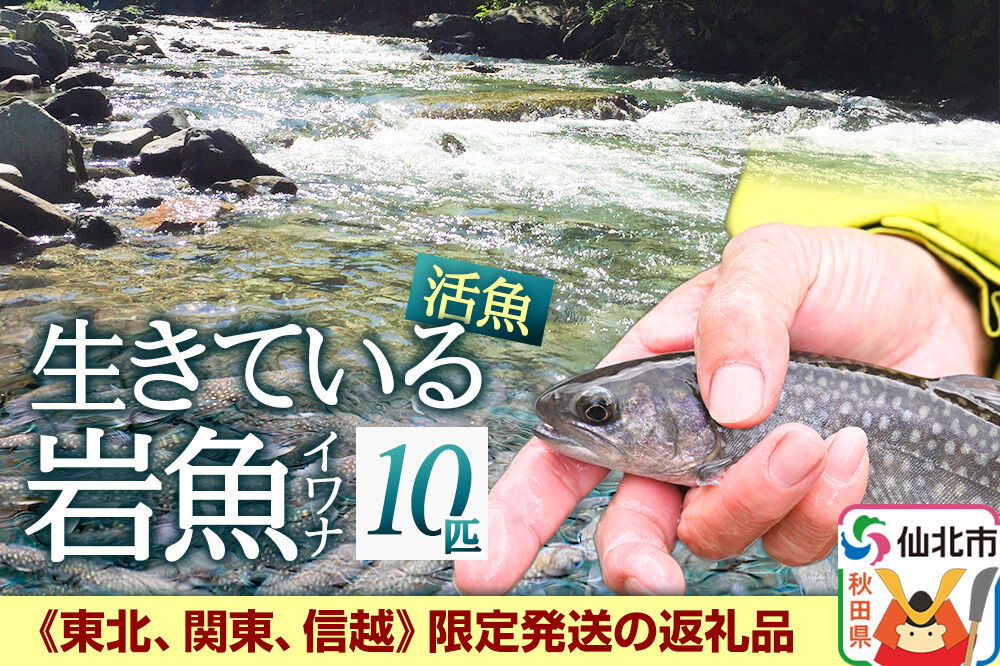 生きている岩魚（イワナ）10匹 酸素を入れて袋詰め【発送可能エリア：東北・関東・信越】長四郎