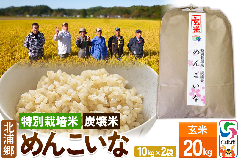 【特別栽培米 炭壌米 めんこいな】令和5年産 玄米 10kg 2袋